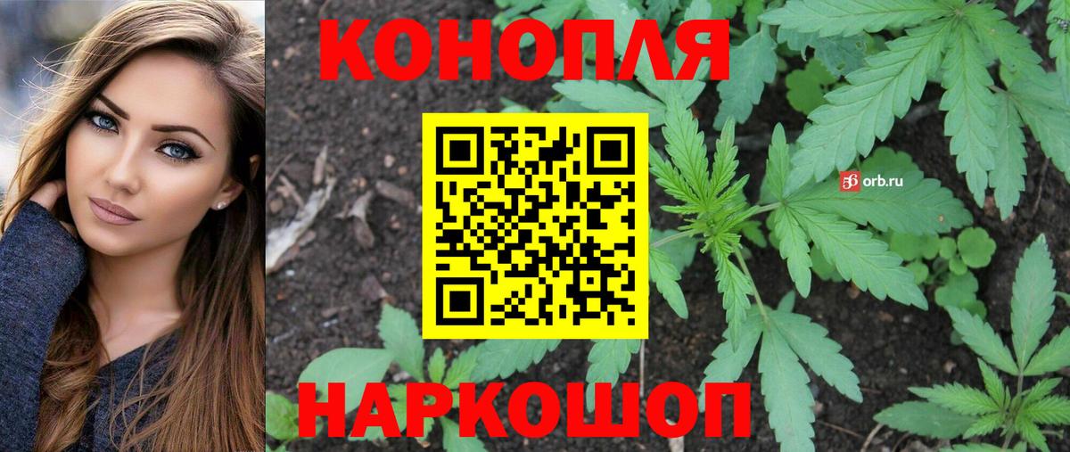 Каннабис MAZAR Подольск